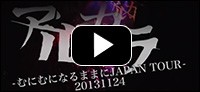 LIVE DVD「20131124～むにむになるままにJAPAN TOUR～」